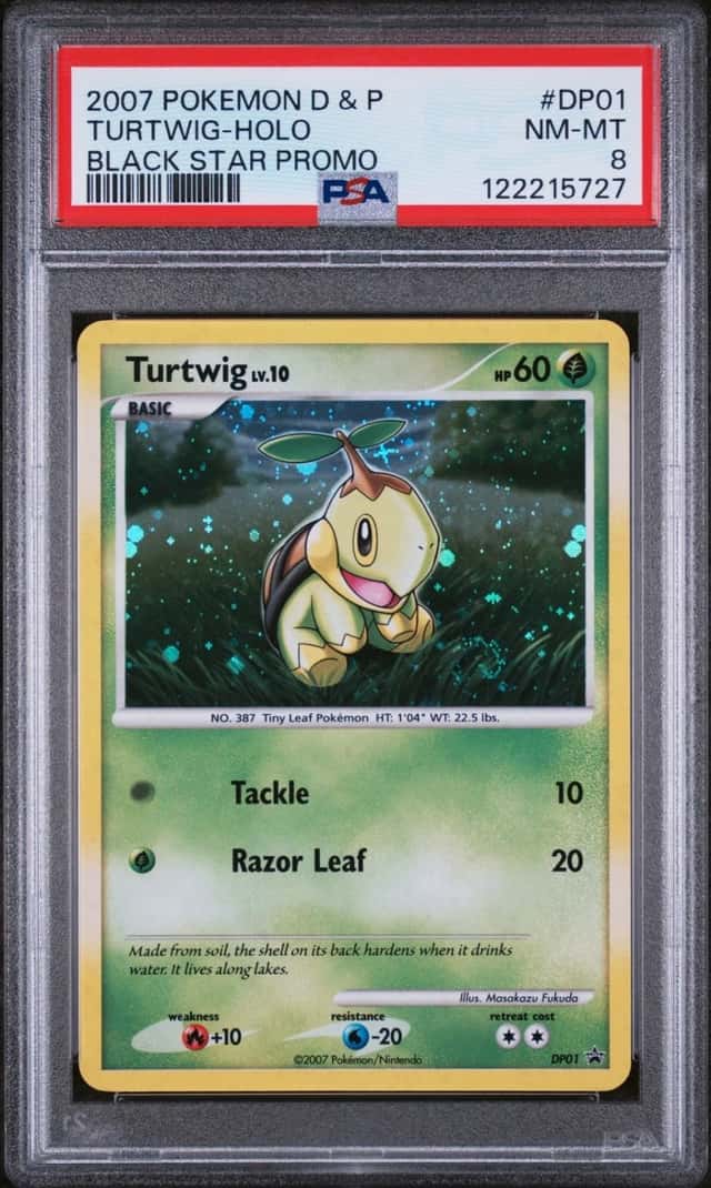 Turtwig