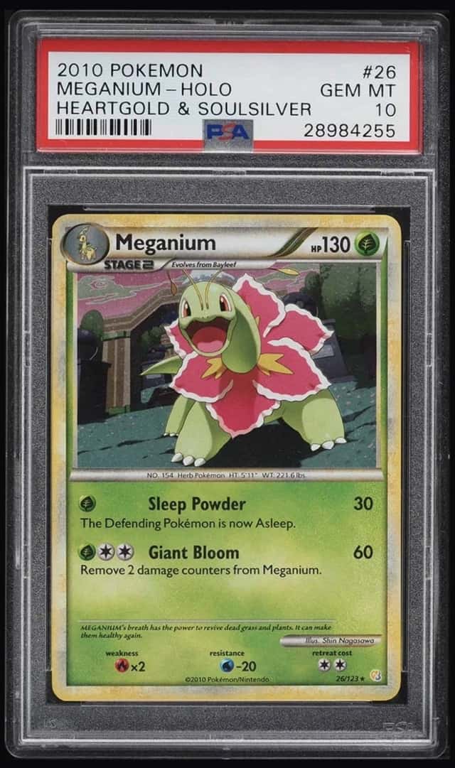 Meganium