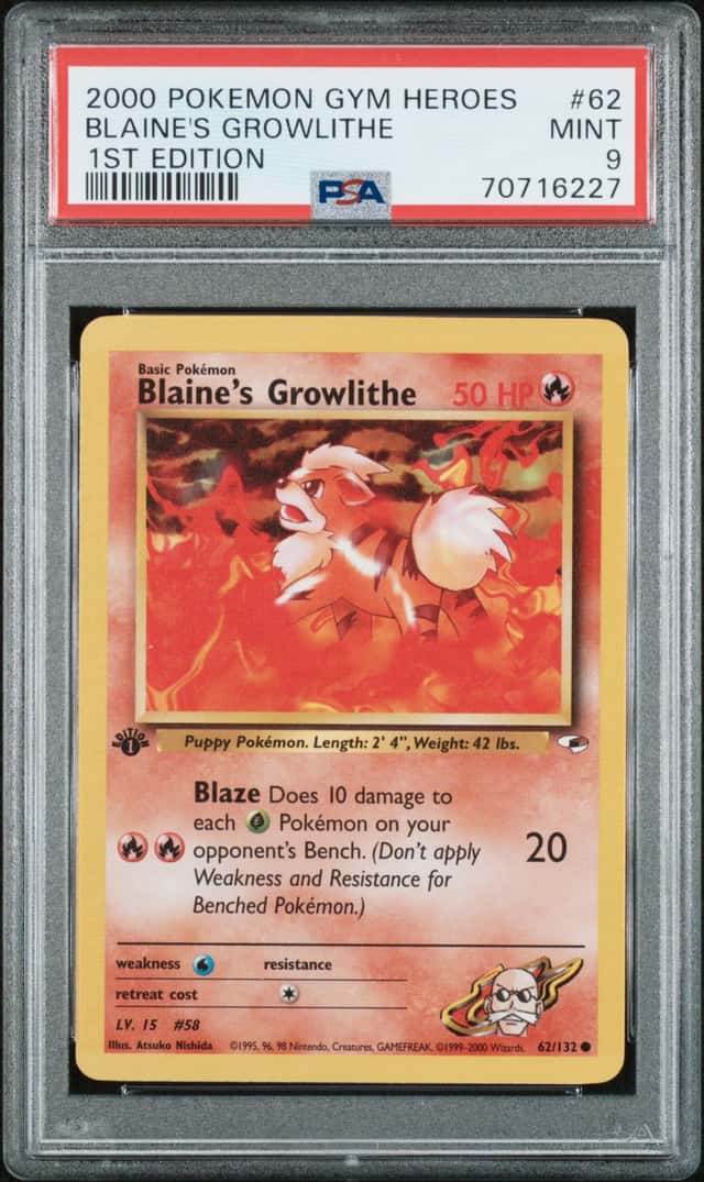 Blaine's Growlithe