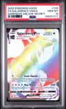 Salamence Vmax