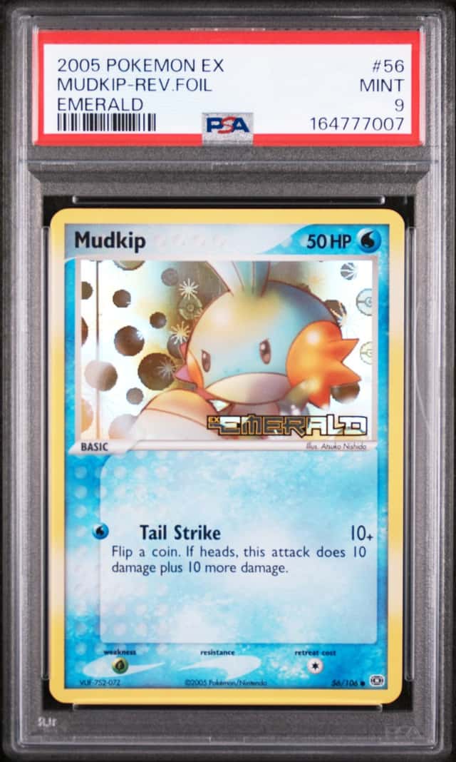 Mudkip