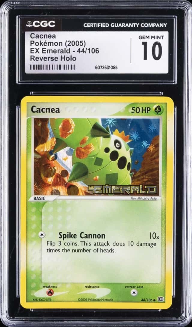 Cacnea