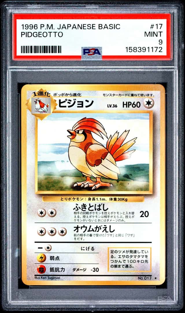 Pidgeotto
