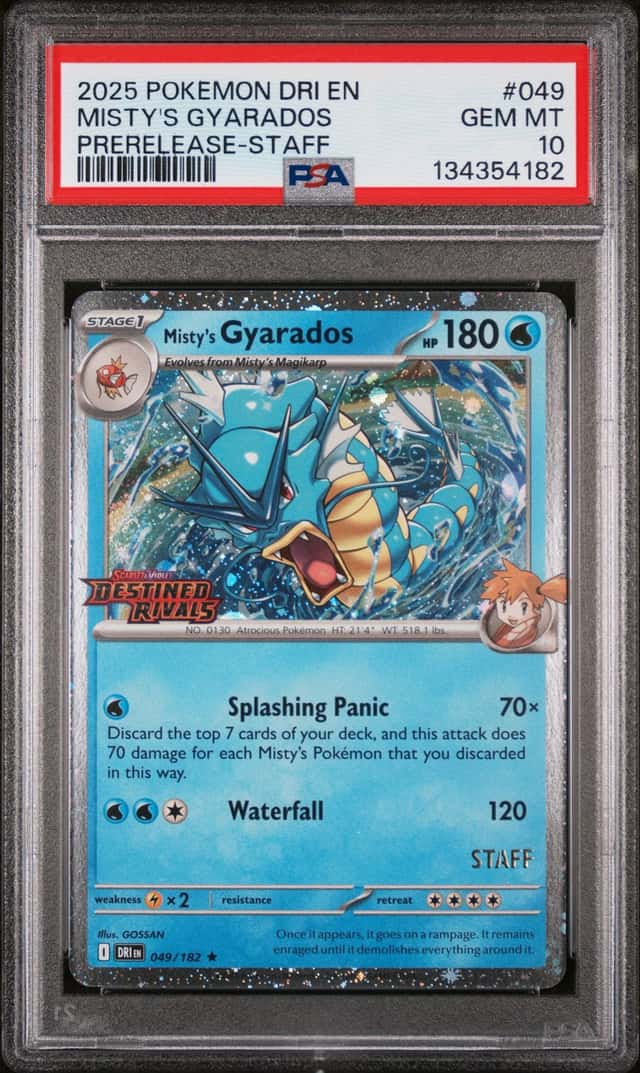 Misty's Gyarados