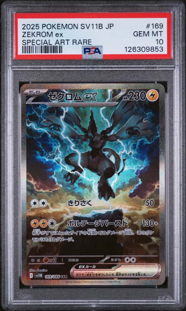 ZEKROM ex