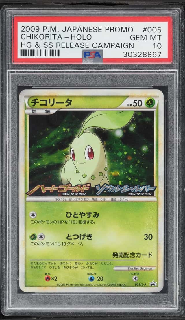Chikorita