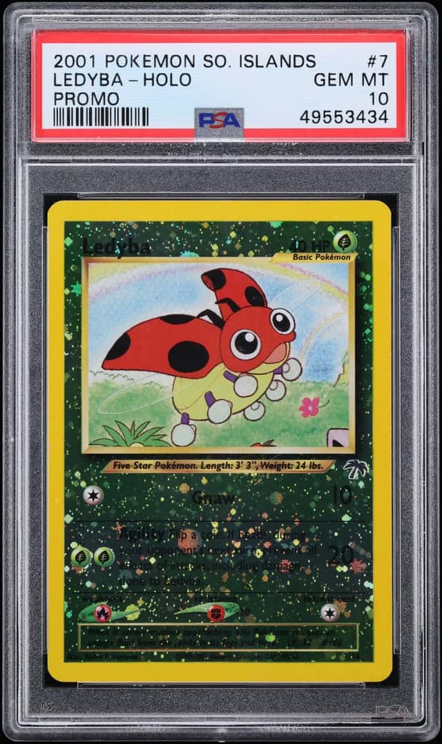 Ledyba