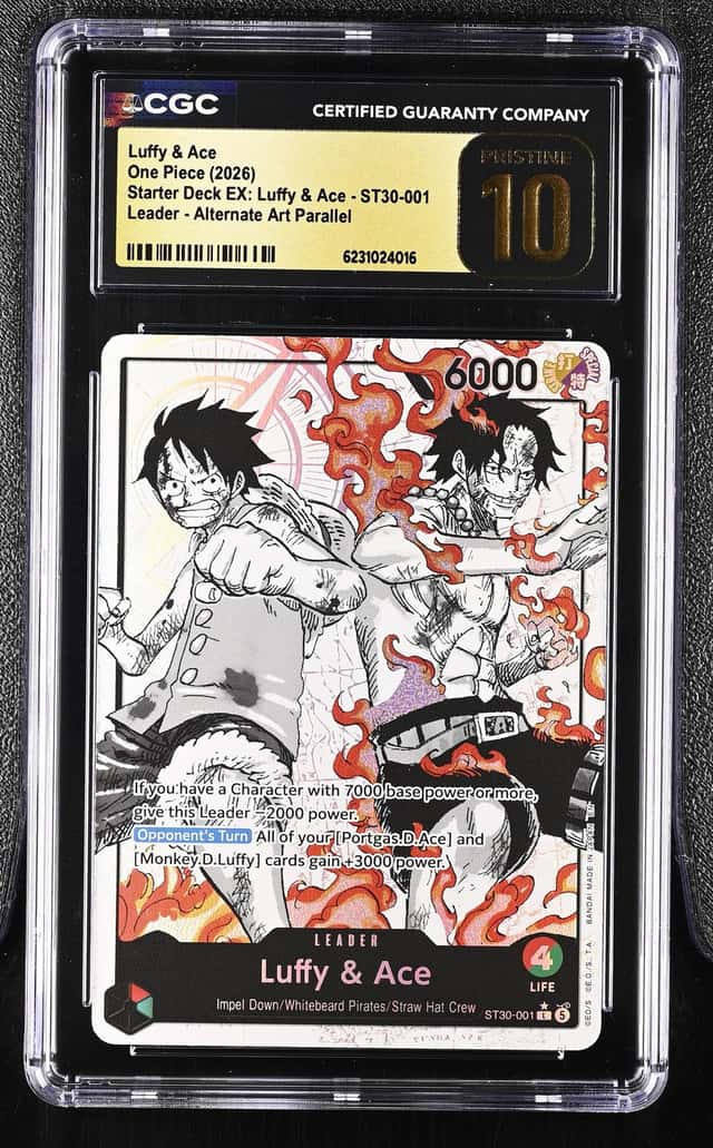 Luffy & Ace