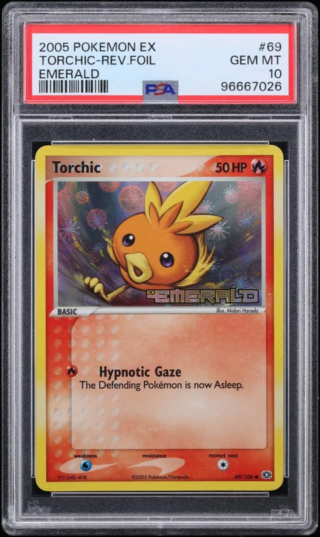 Torchic