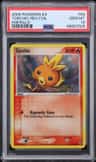 Torchic