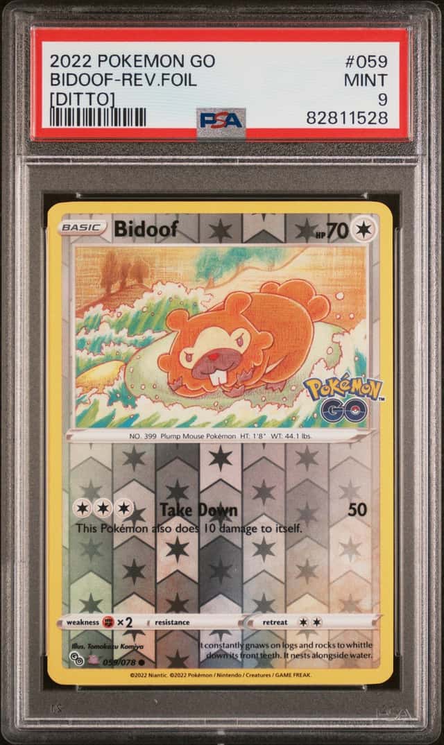 Bidoof