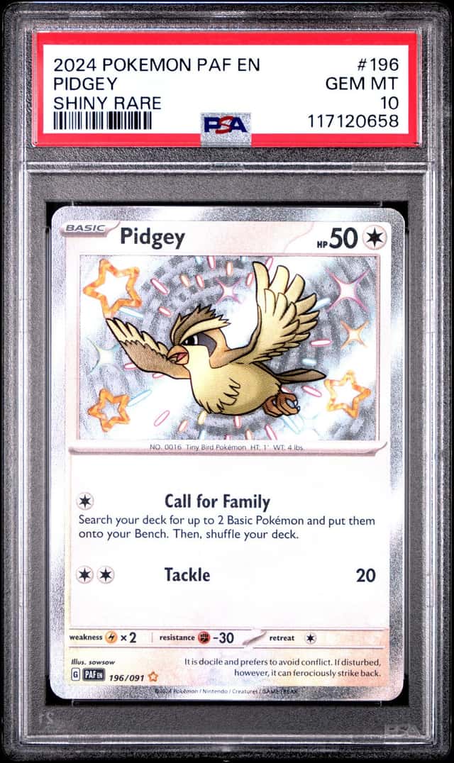 Pidgey