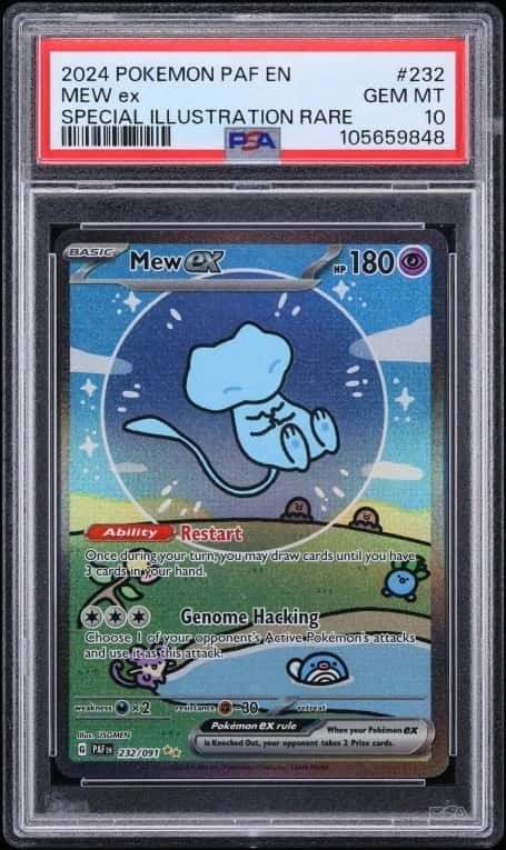 MEW ex