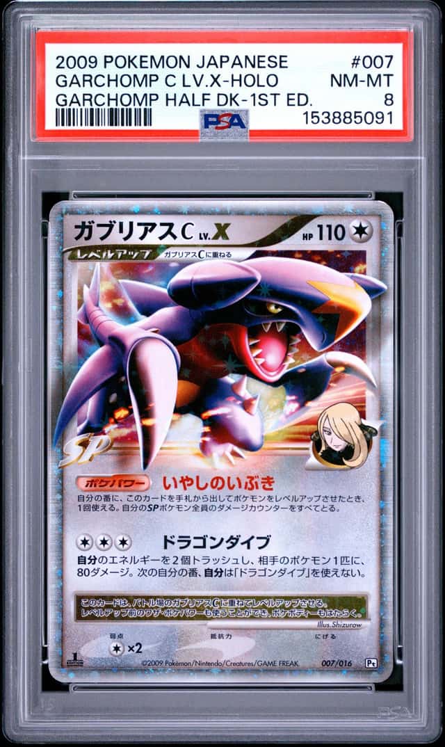 GARCHOMP C LV.X