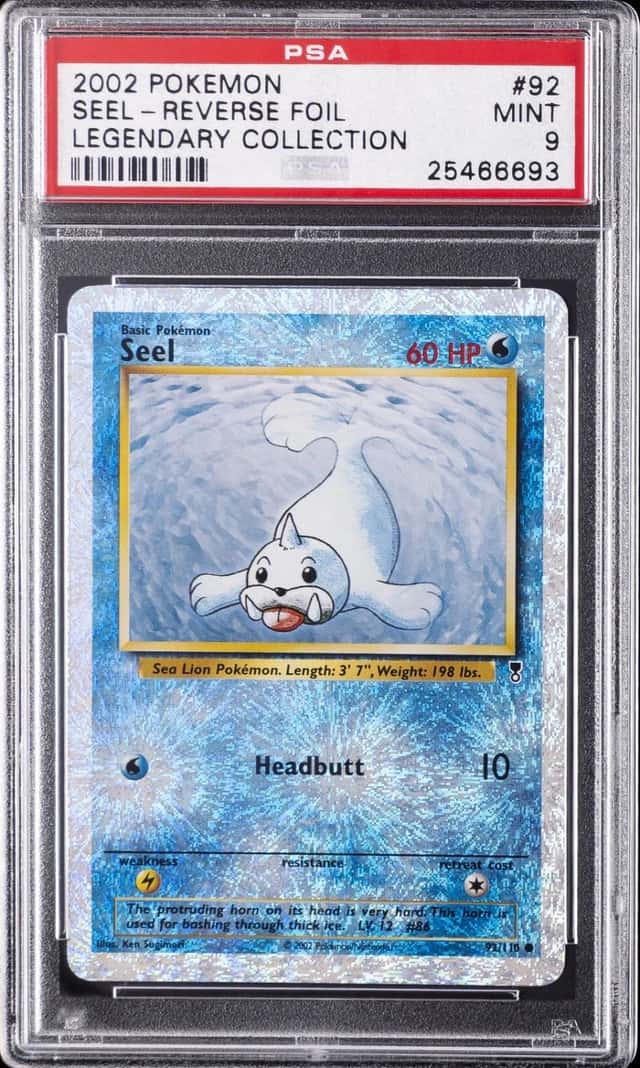 Seel