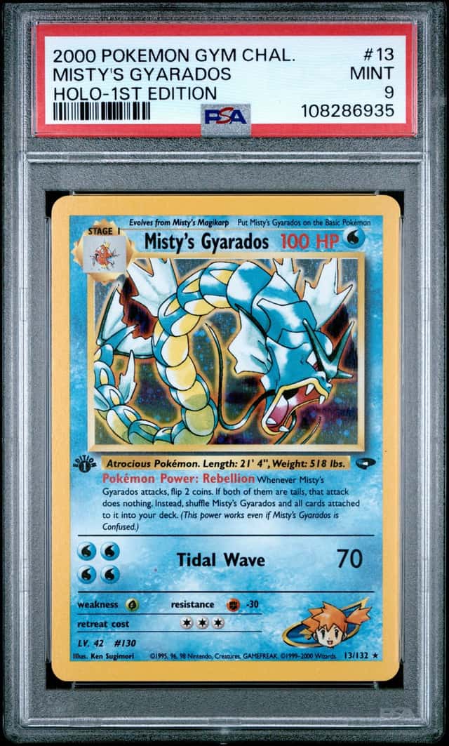 Misty's Gyarados
