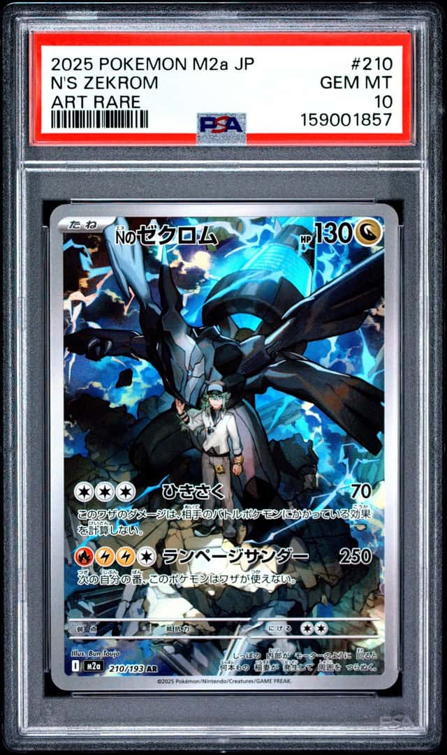 N's Zekrom