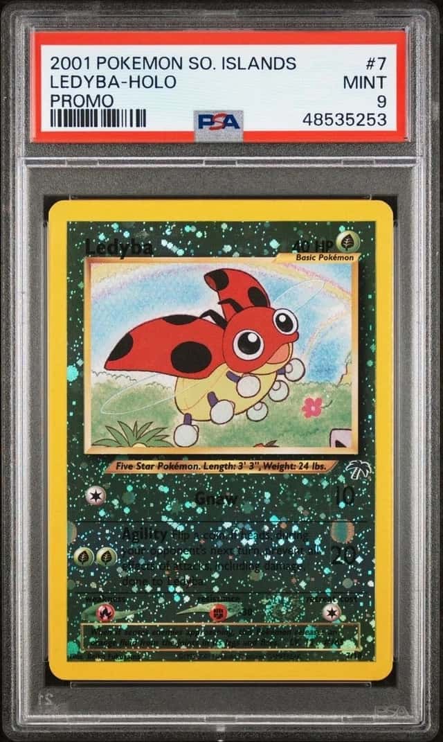 Ledyba