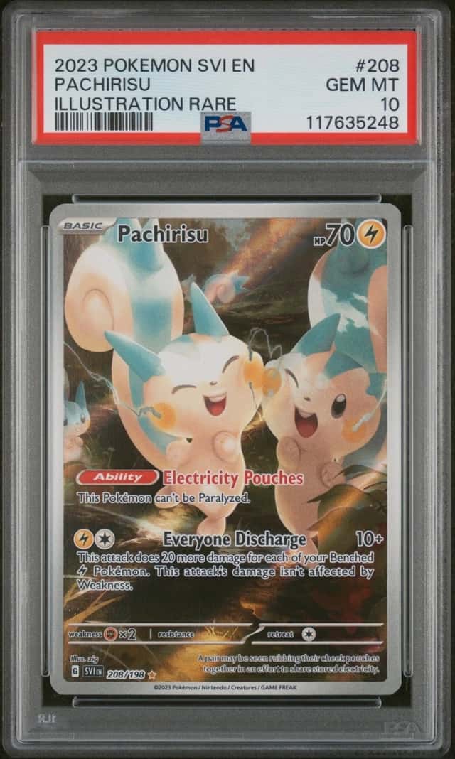 Pachirisu