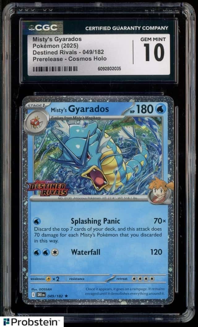 Misty's Gyarados