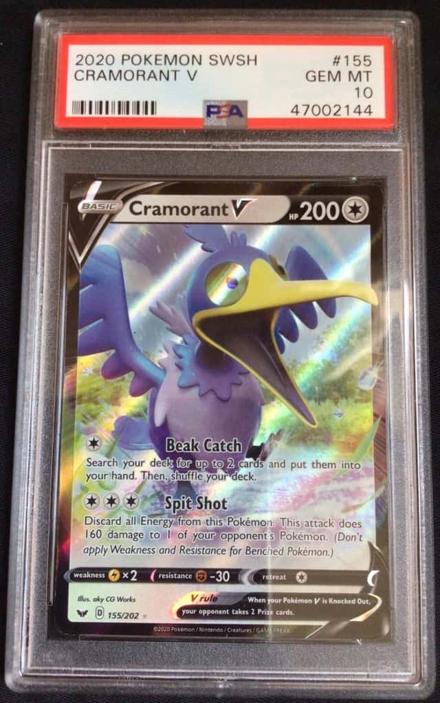 Cramorant V