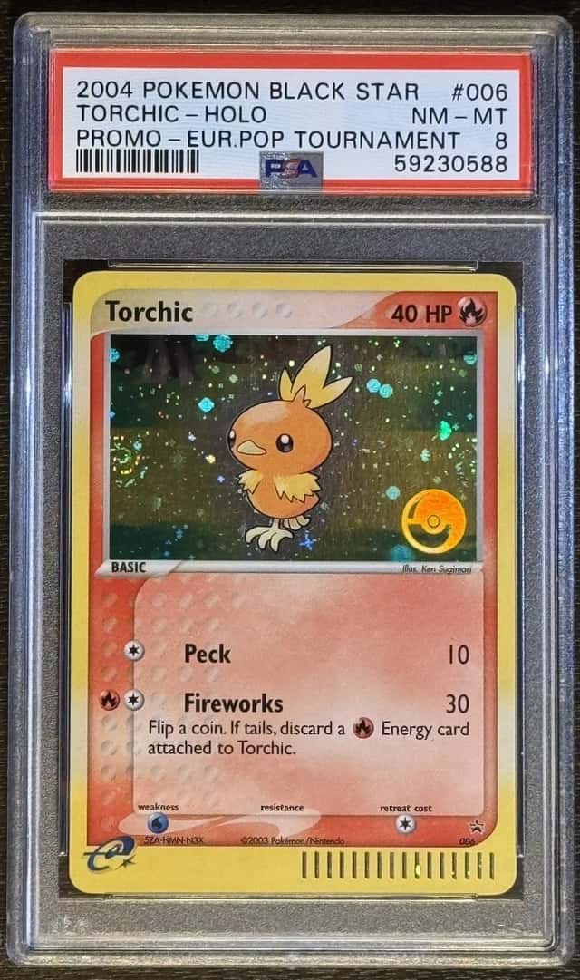 Torchic
