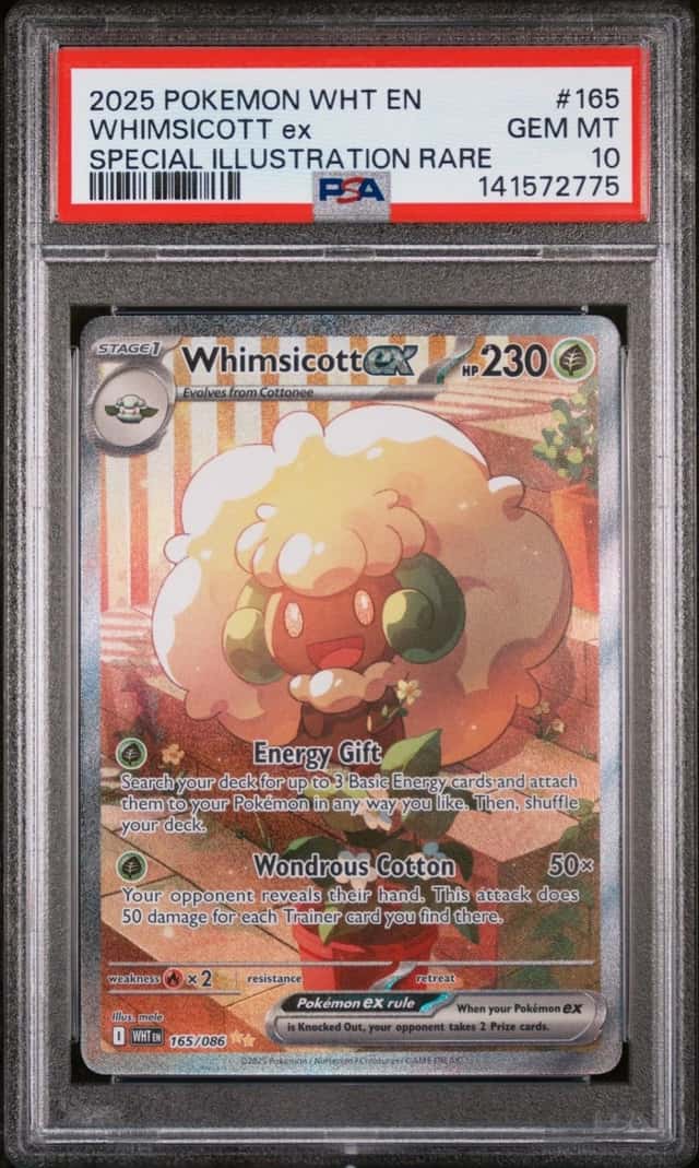 WHIMSICOTT ex