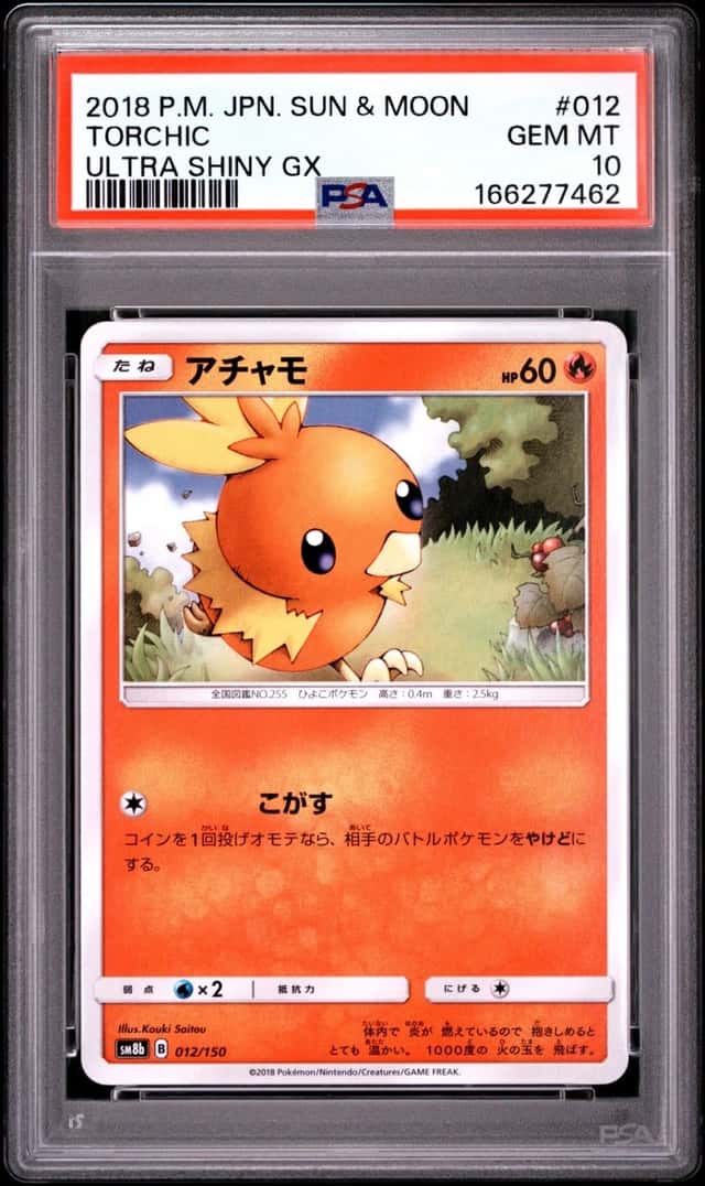 Torchic
