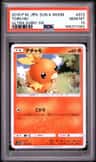Torchic