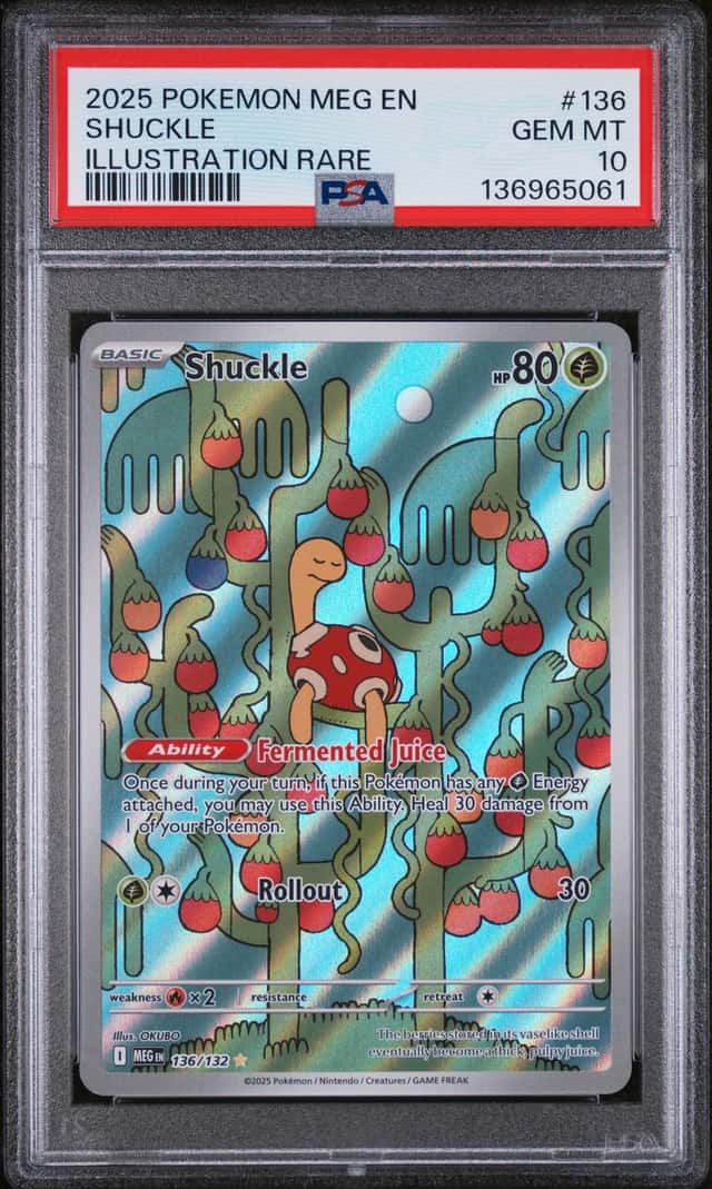 Shuckle