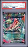 M Sceptile Ex