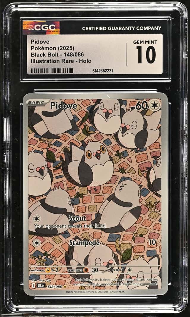 Pidove