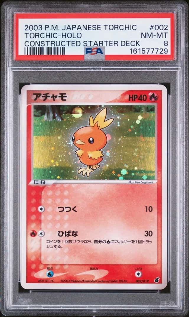 Torchic