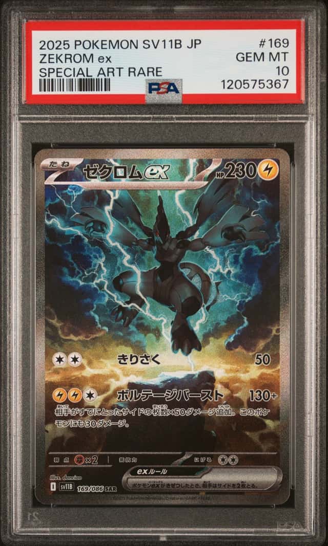 ZEKROM ex