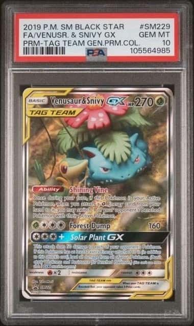 Venusaur & Snivy GX