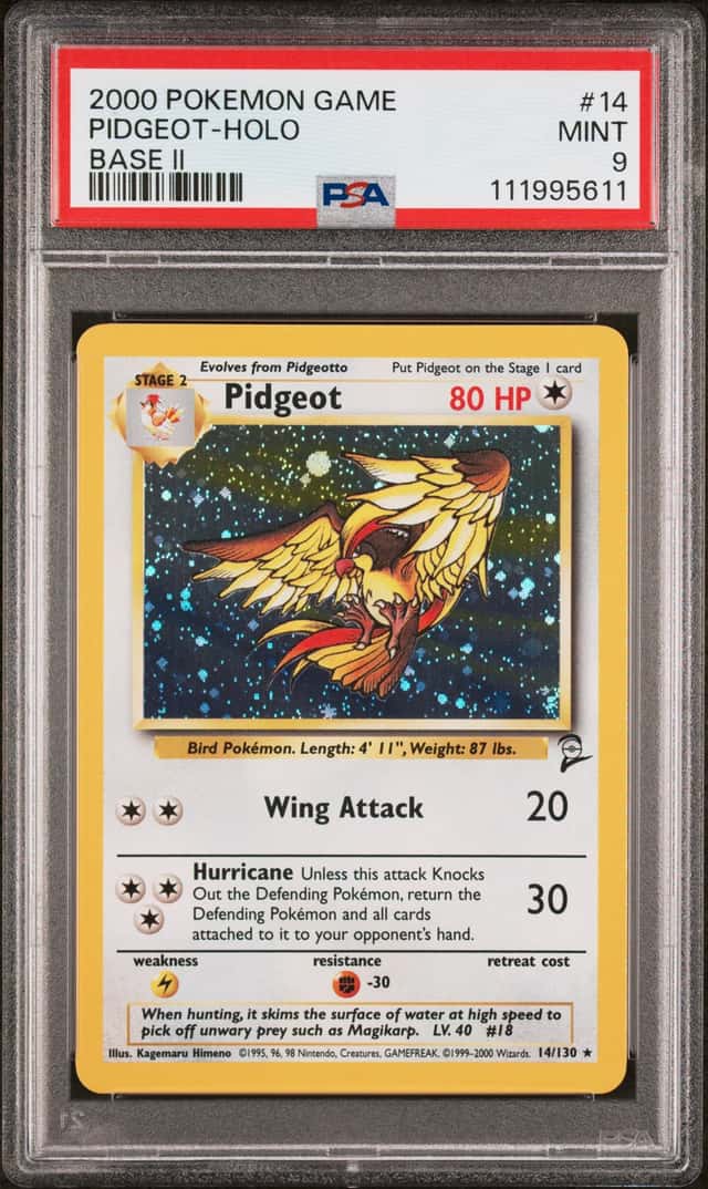 Pidgeot