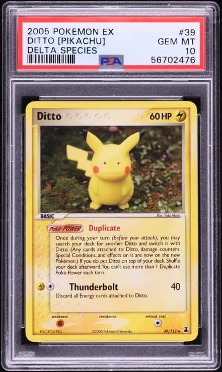 Ditto