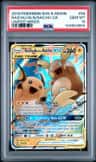 Raichu & Alolan Raichu Gx