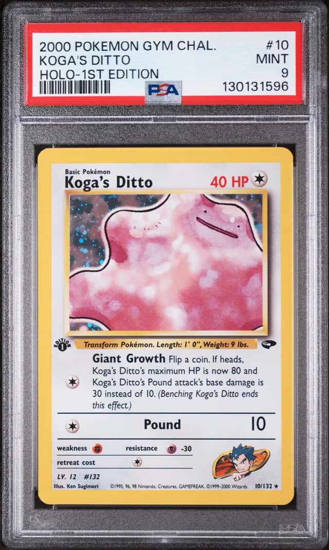 Koga's Ditto