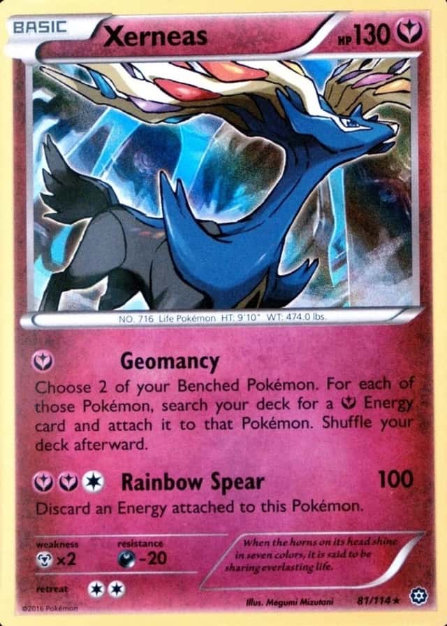Holo