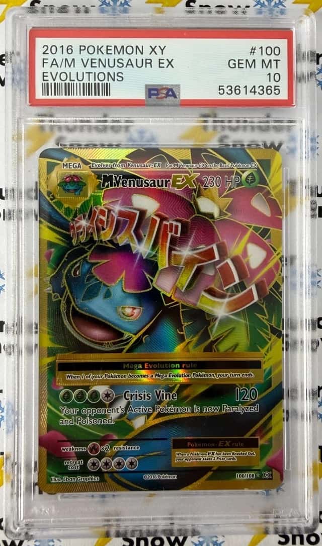 M Venusaur EX