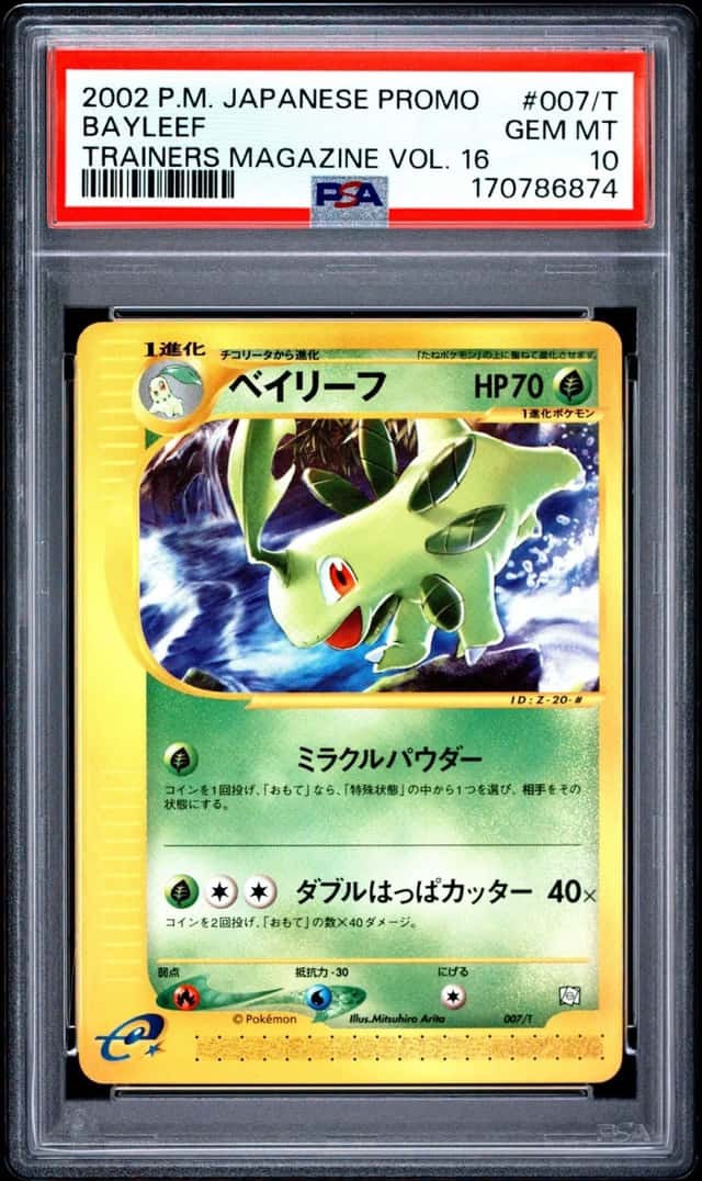 Bayleef