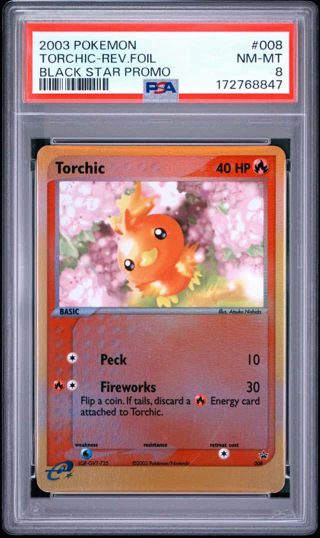 Torchic