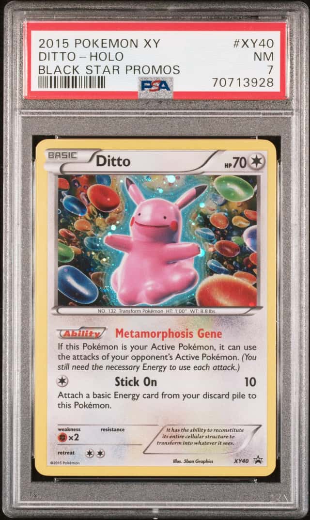 Ditto