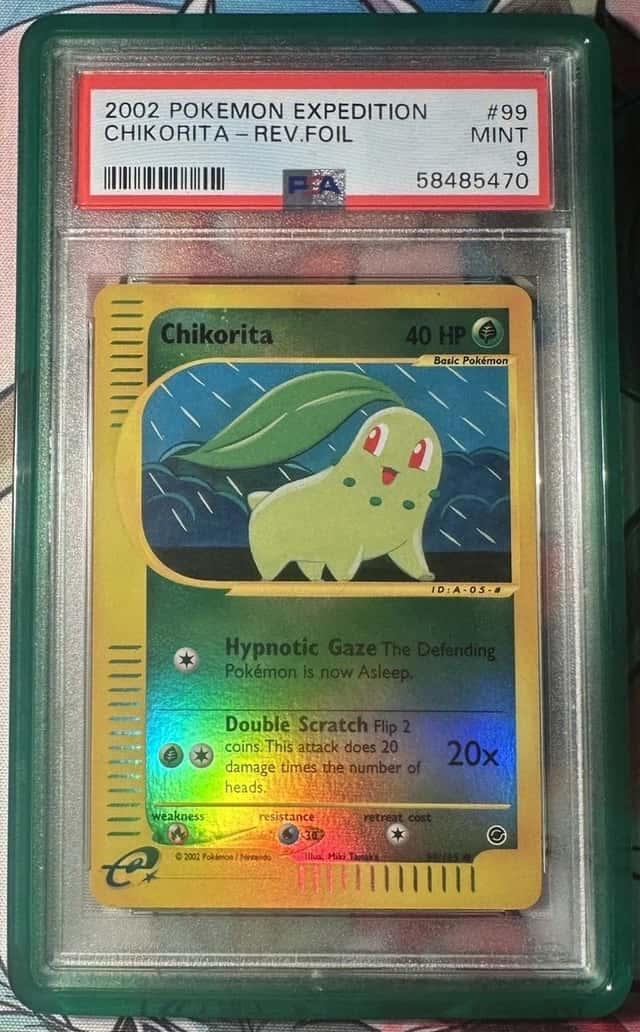 Chikorita