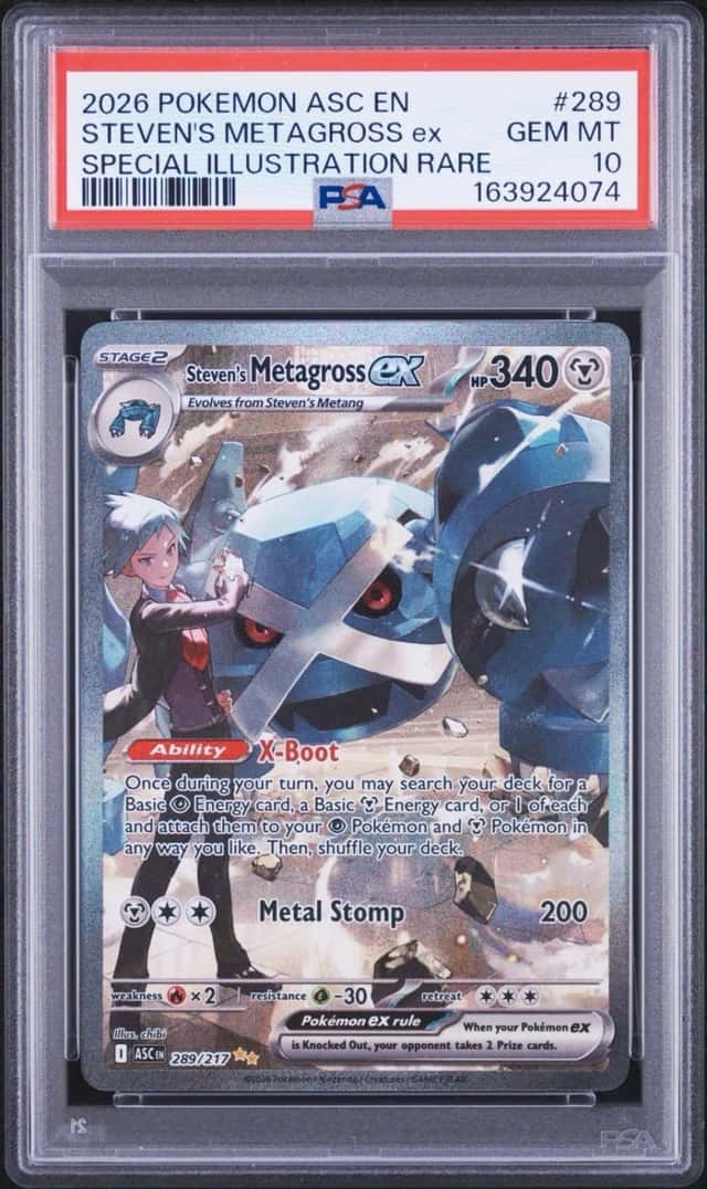 STEVEN'S METAGROSS ex