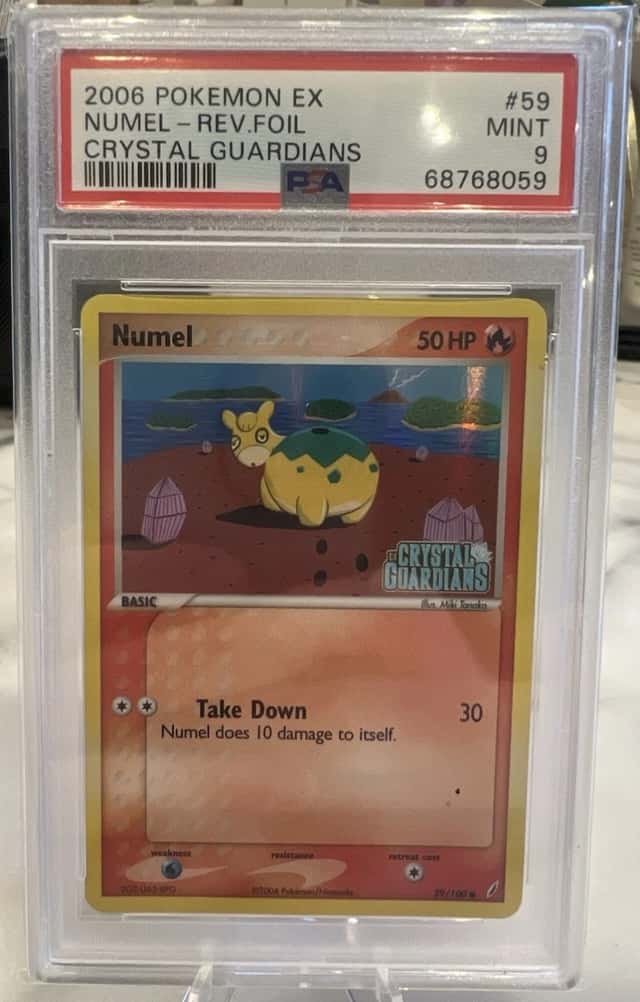 Numel