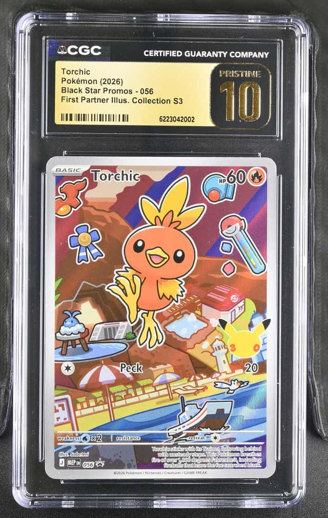 Torchic