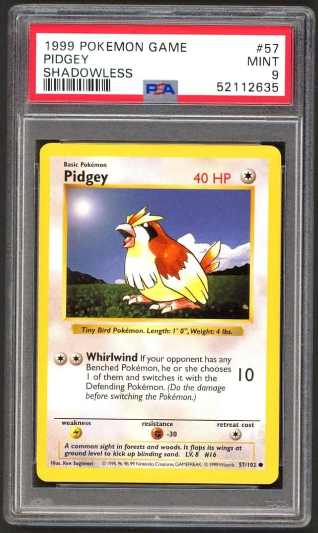 Pidgey