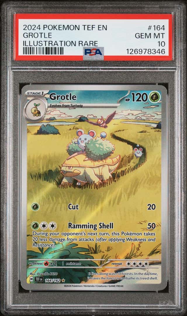 Grotle